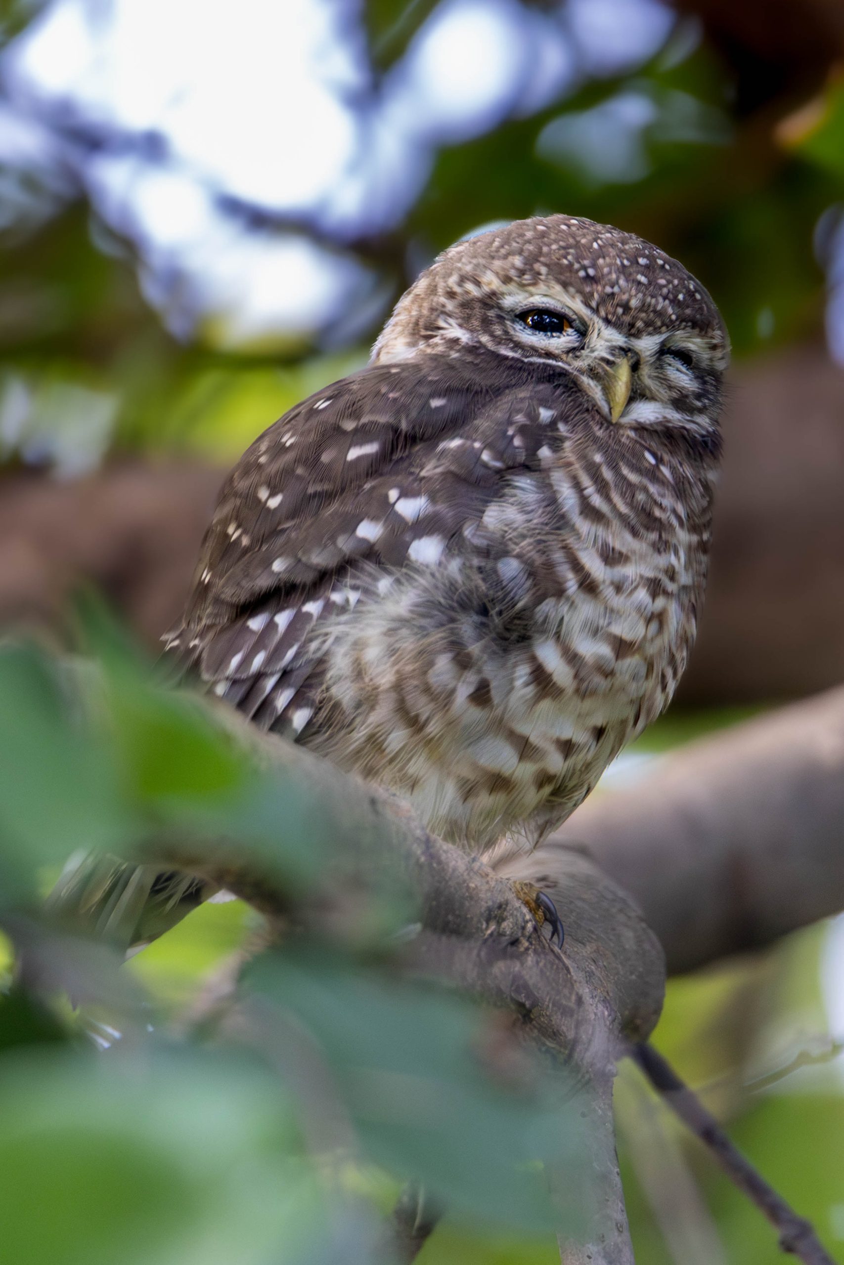 Services IMG 9009 Scaled