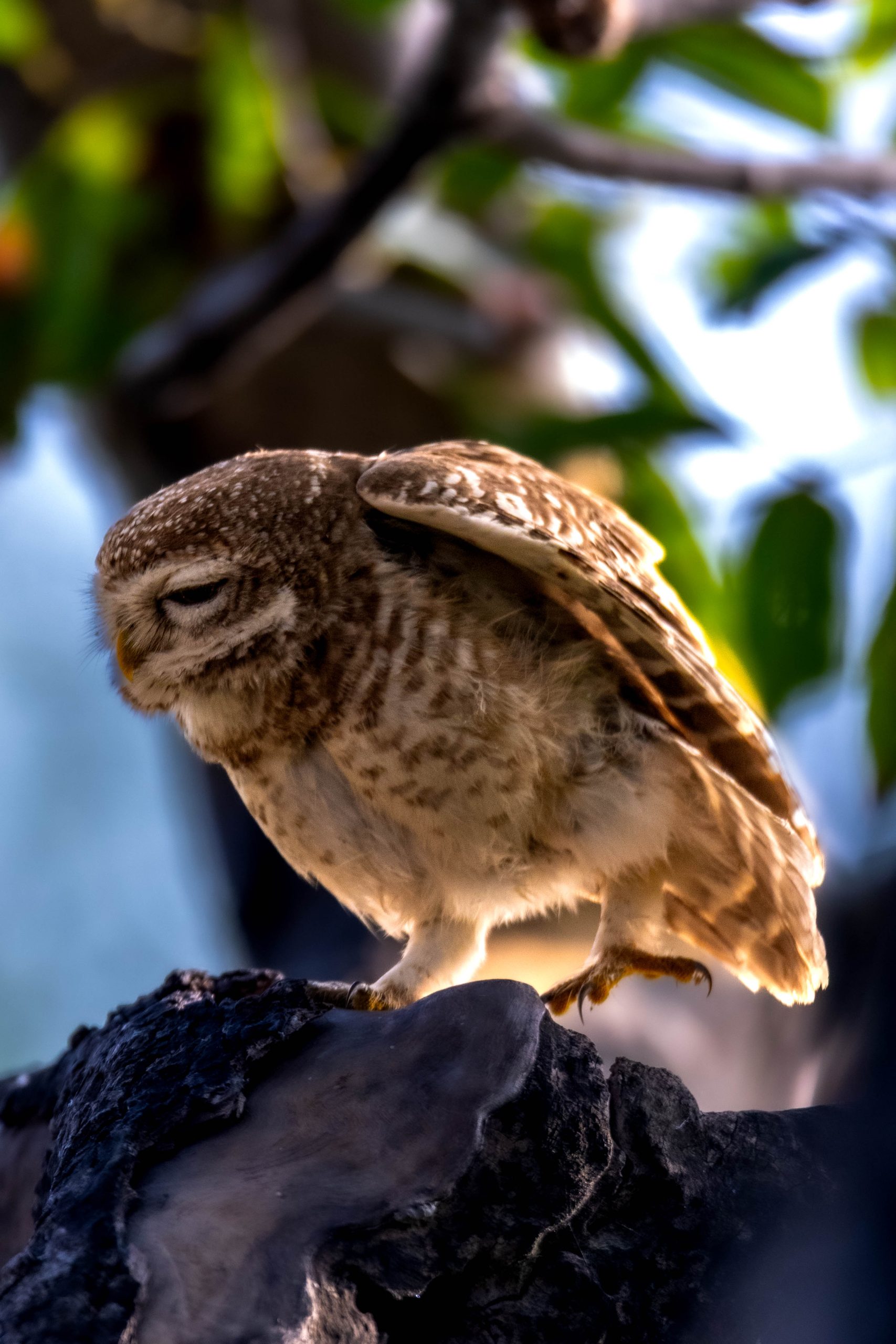 Services IMG 9105 Scaled