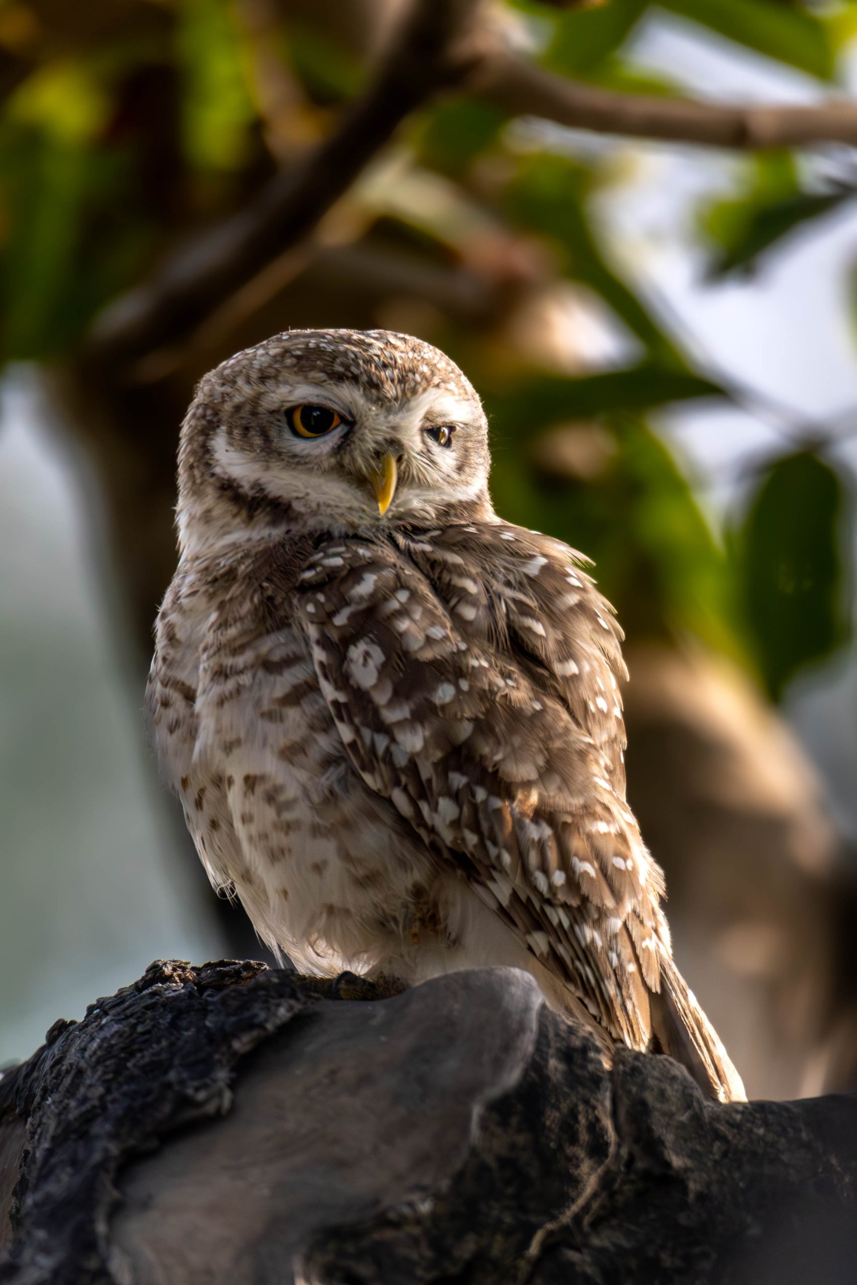 Services IMG 9133 Scaled