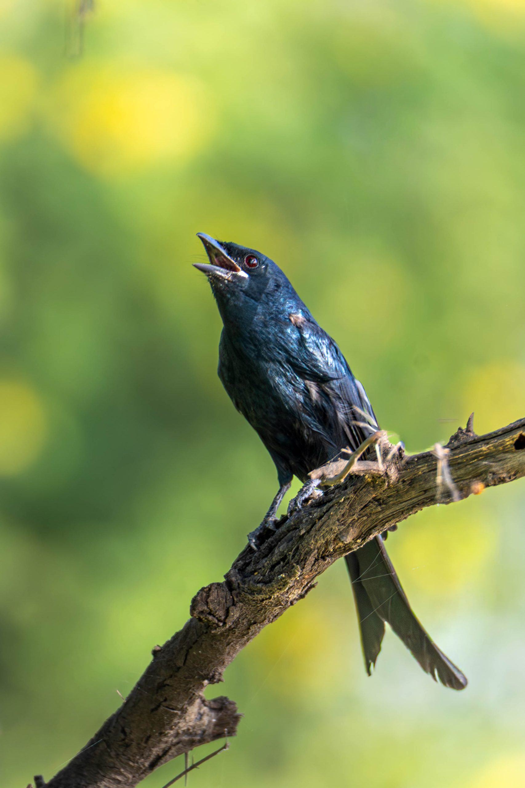 Services IMG 9156 Scaled